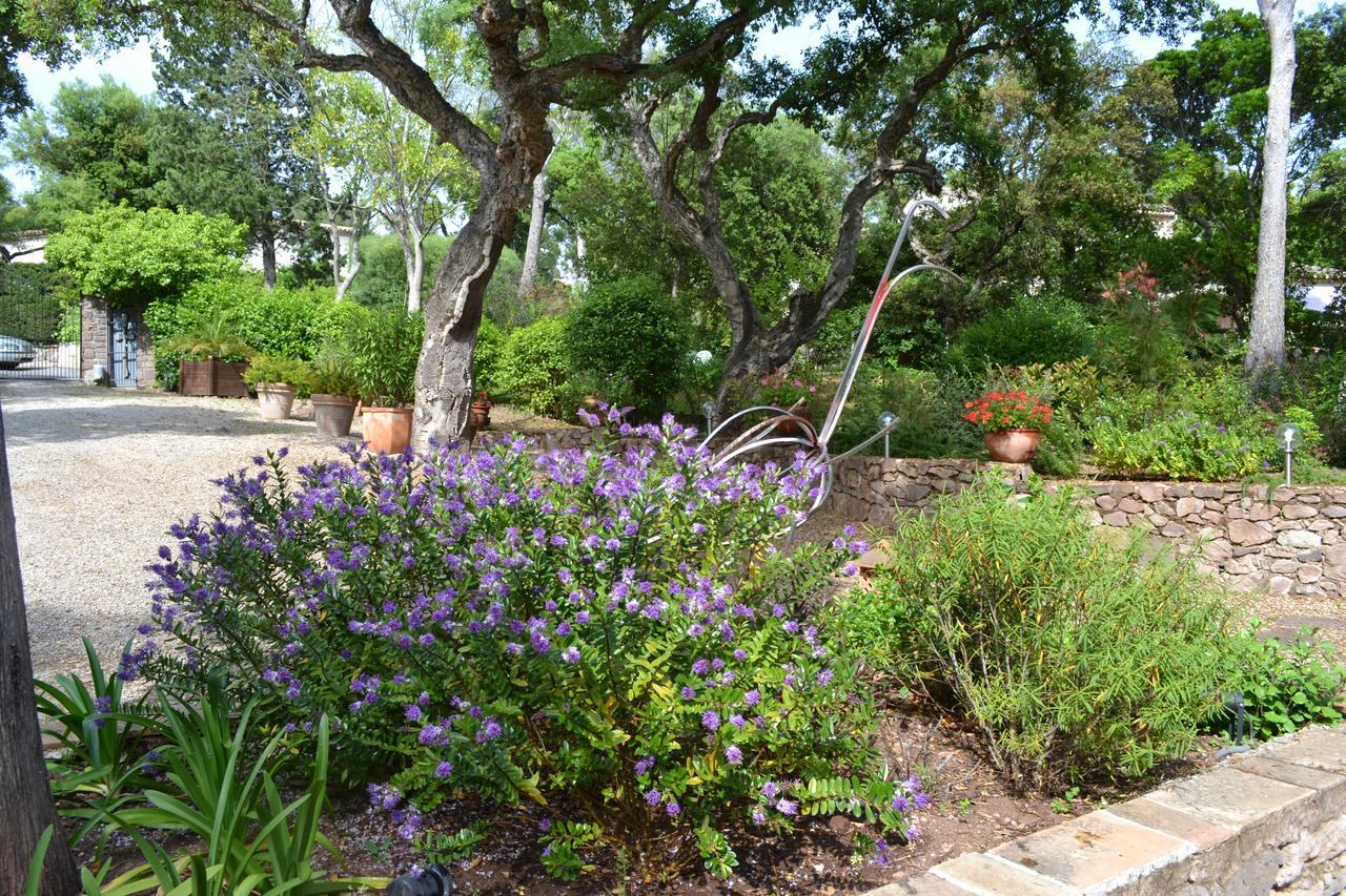 Bed & Breakfast La Palatine Fréjus